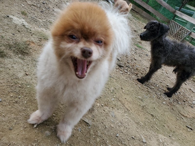 f:id:roukenhome-ann:20191002222526j:plain