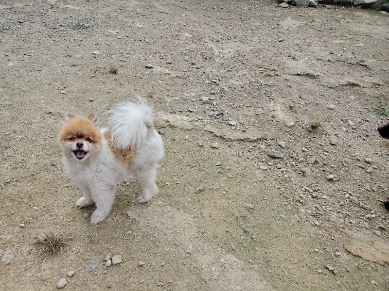 f:id:roukenhome-ann:20191002222533j:plain
