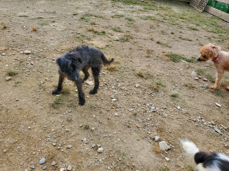 f:id:roukenhome-ann:20191002222644j:plain