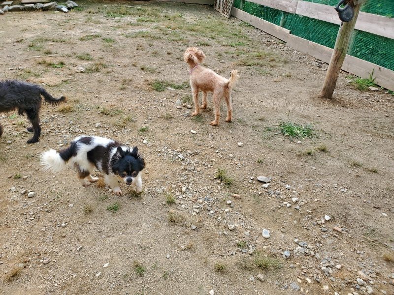 f:id:roukenhome-ann:20191002222653j:plain