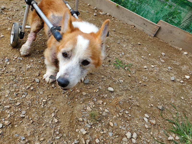 f:id:roukenhome-ann:20191002222824j:plain