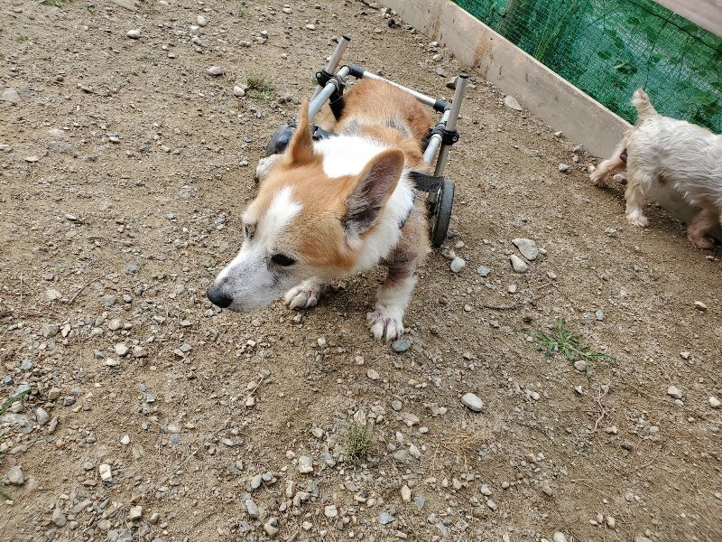 f:id:roukenhome-ann:20191002222831j:plain