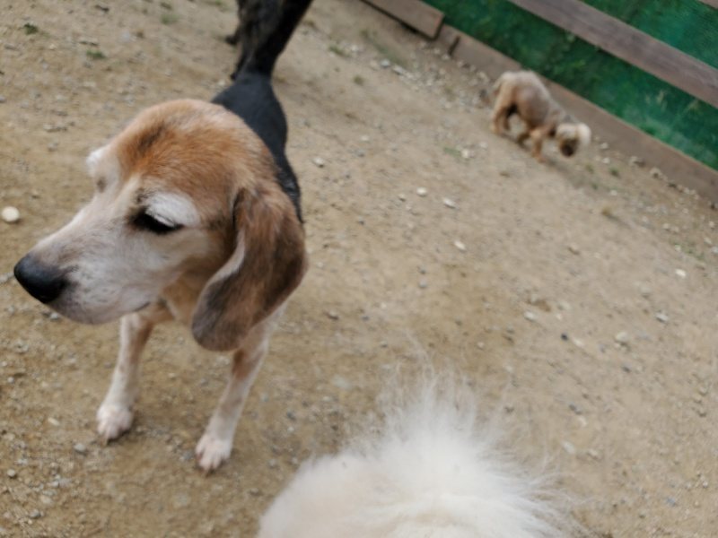 f:id:roukenhome-ann:20191002223548j:plain