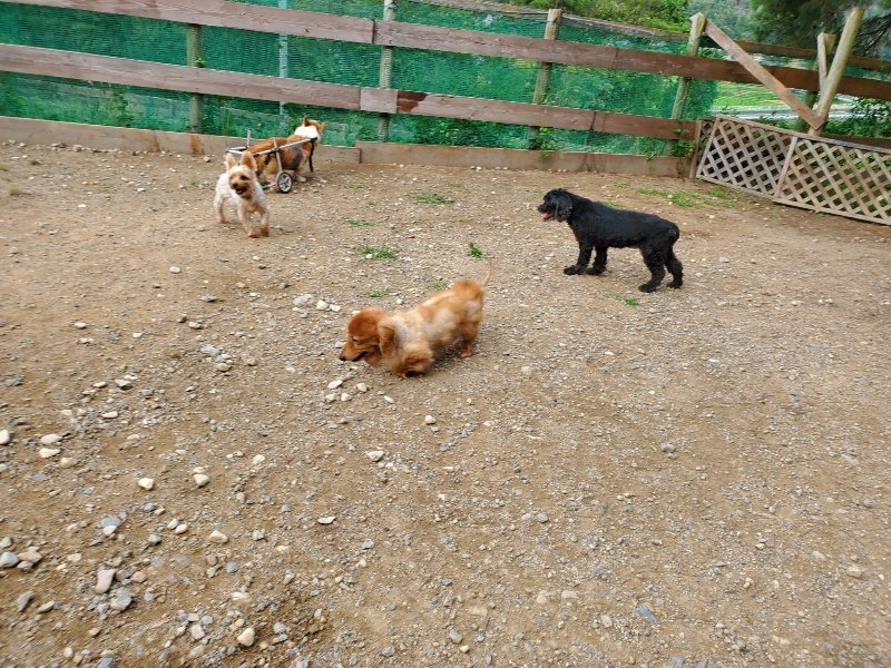f:id:roukenhome-ann:20191002223644j:plain