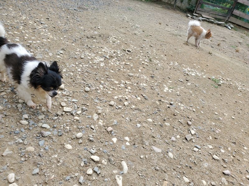 f:id:roukenhome-ann:20191002223925j:plain