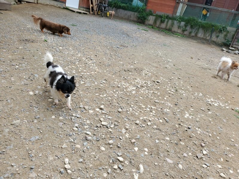 f:id:roukenhome-ann:20191002223934j:plain