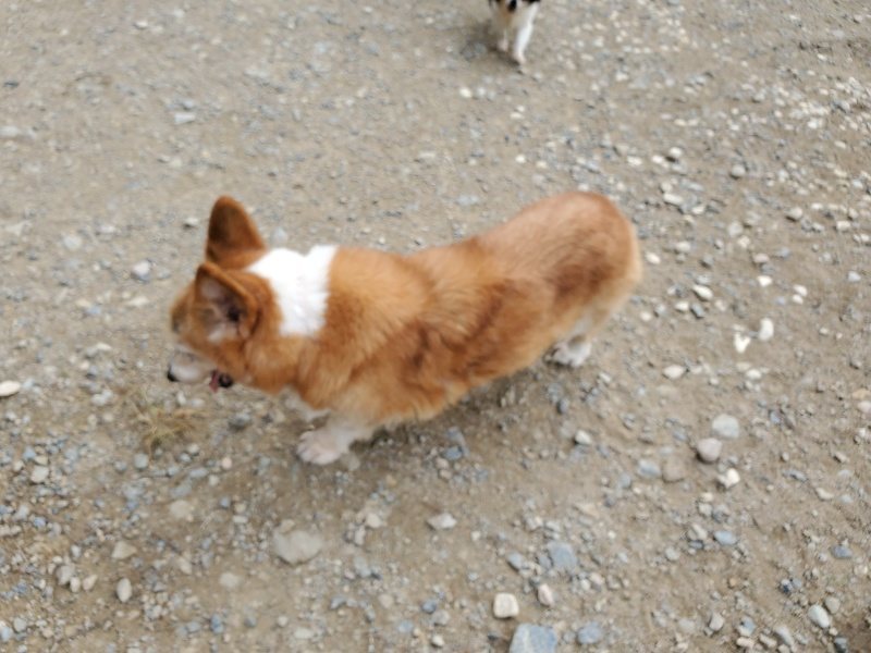 f:id:roukenhome-ann:20191002223950j:plain