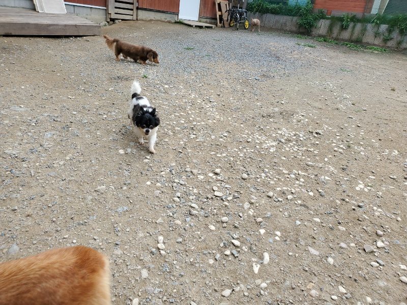 f:id:roukenhome-ann:20191002224001j:plain