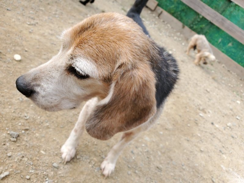 f:id:roukenhome-ann:20191002224019j:plain