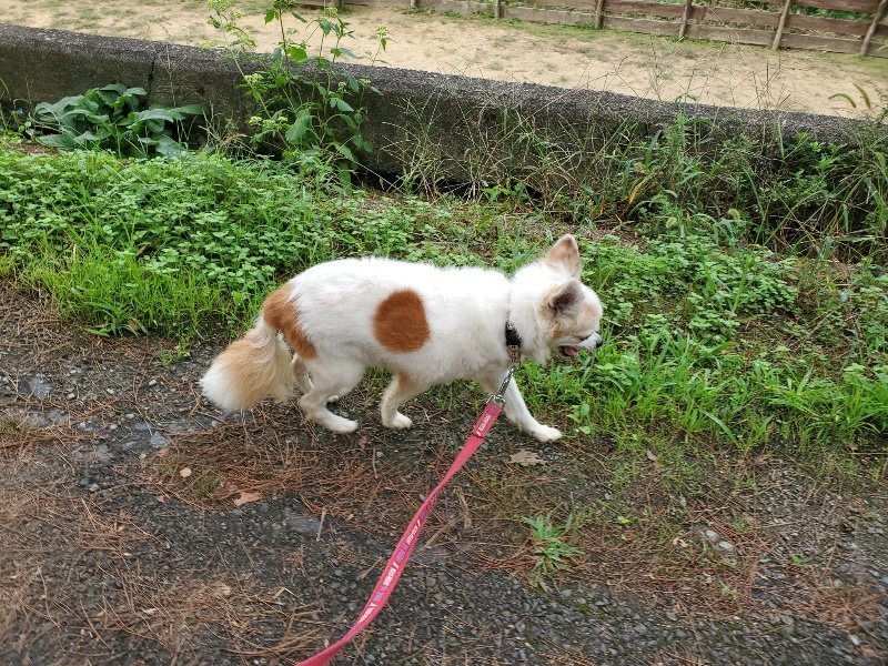 f:id:roukenhome-ann:20191002224206j:plain