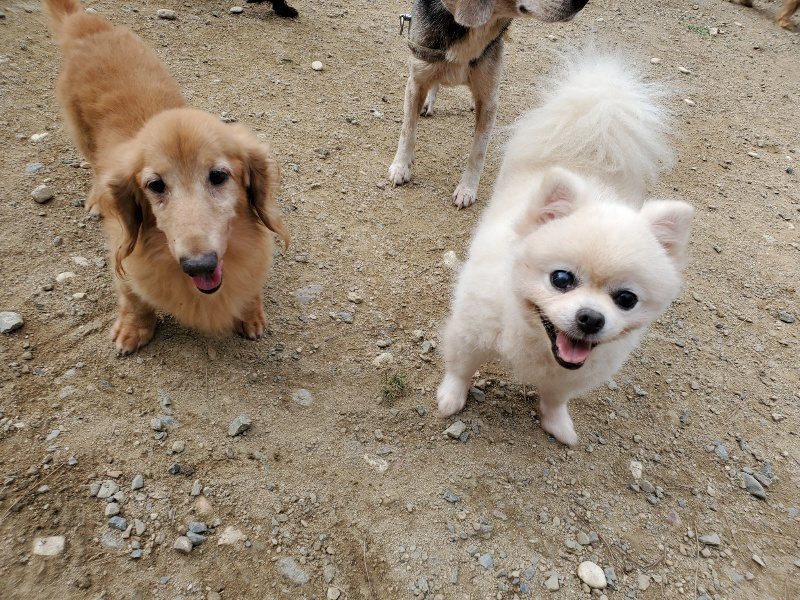 f:id:roukenhome-ann:20191002224230j:plain