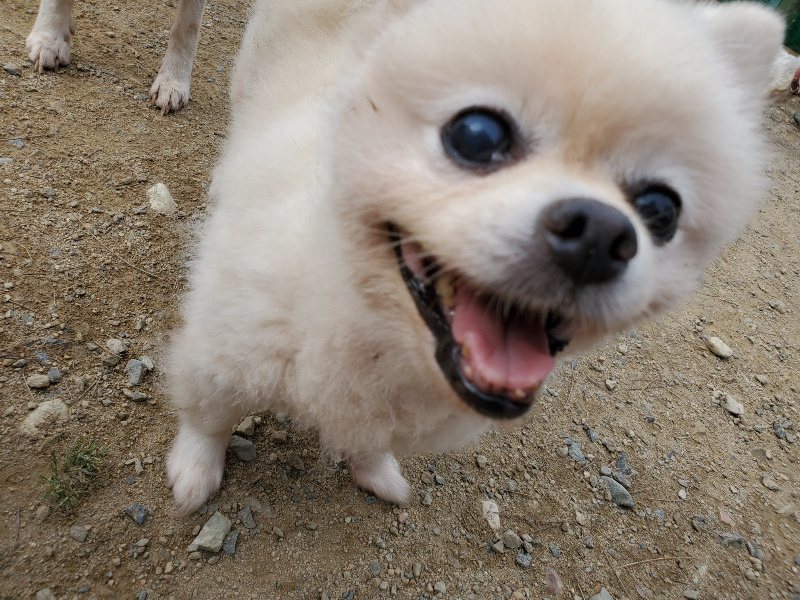 f:id:roukenhome-ann:20191002224237j:plain