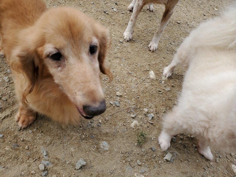f:id:roukenhome-ann:20191002224243j:plain