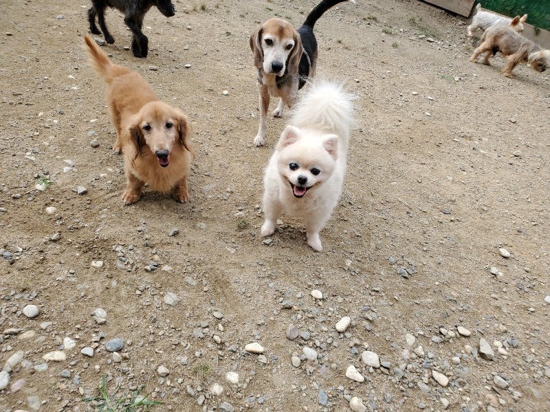 f:id:roukenhome-ann:20191002224253j:plain