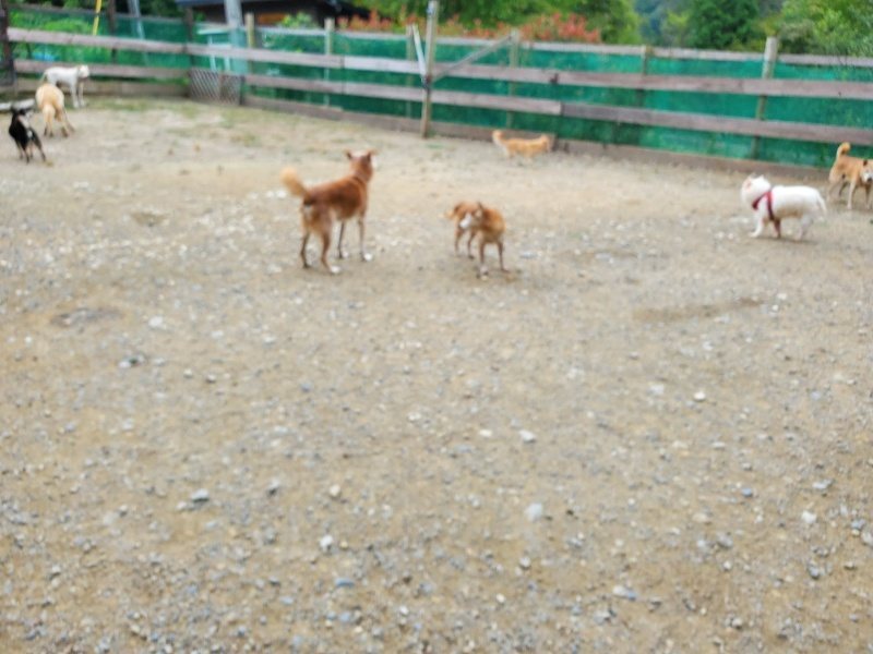 f:id:roukenhome-ann:20191002230041j:plain