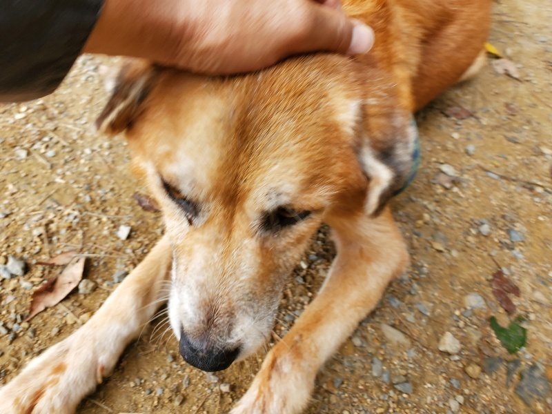 f:id:roukenhome-ann:20191002230057j:plain