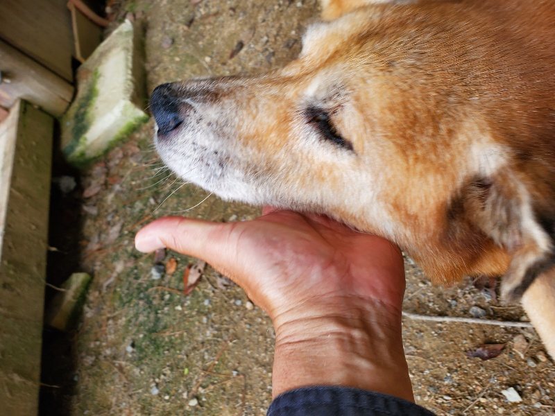 f:id:roukenhome-ann:20191002230206j:plain