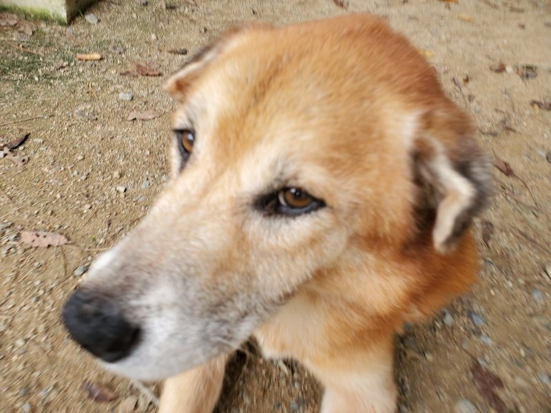 f:id:roukenhome-ann:20191002230222j:plain