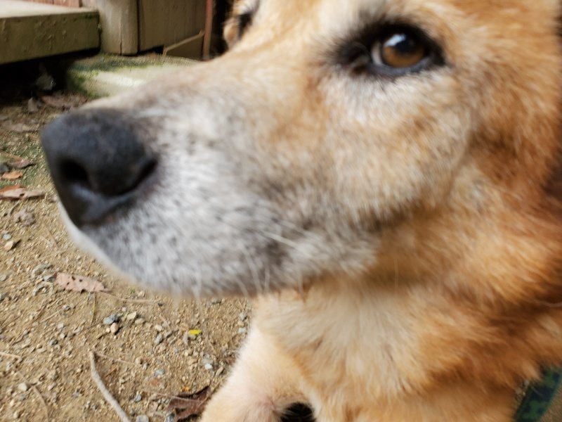 f:id:roukenhome-ann:20191002230227j:plain