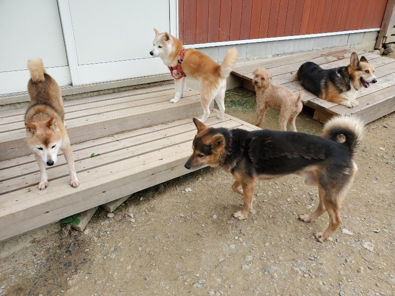 f:id:roukenhome-ann:20191002230245j:plain