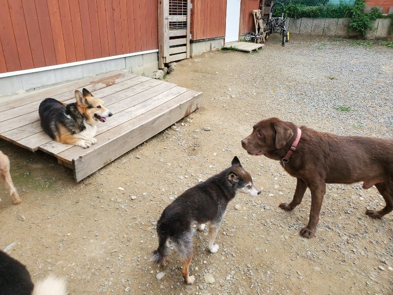 f:id:roukenhome-ann:20191002230301j:plain