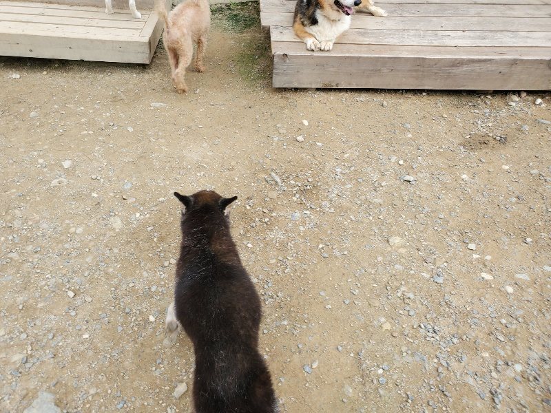 f:id:roukenhome-ann:20191002230325j:plain
