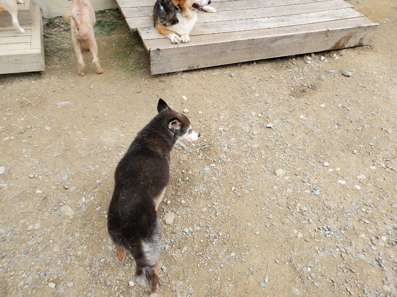 f:id:roukenhome-ann:20191002230332j:plain