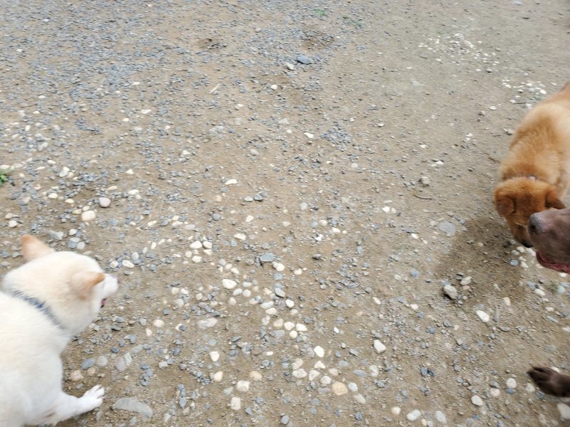f:id:roukenhome-ann:20191002230355j:plain