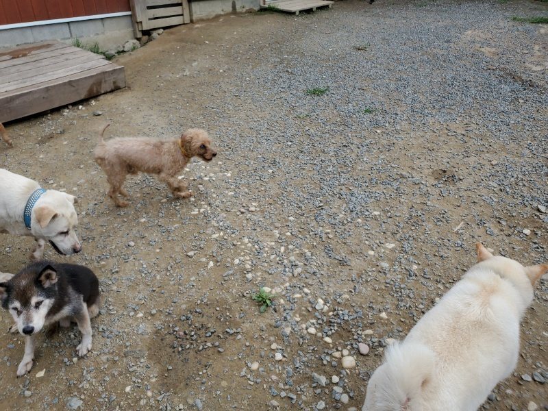 f:id:roukenhome-ann:20191002230403j:plain