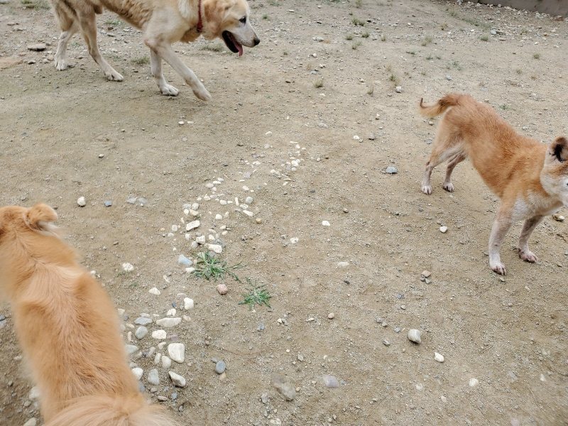 f:id:roukenhome-ann:20191002230424j:plain