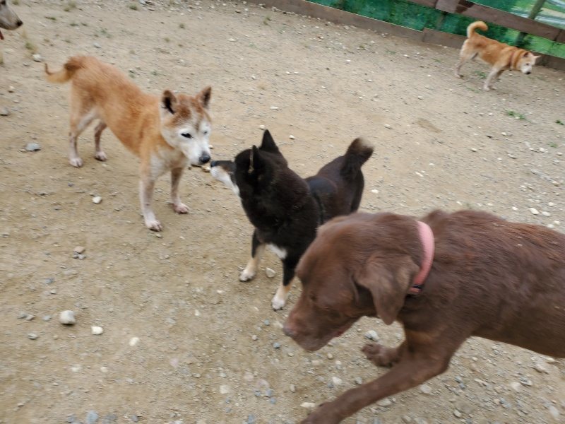f:id:roukenhome-ann:20191002230441j:plain