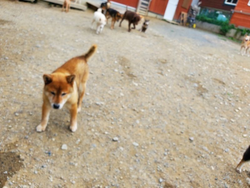 f:id:roukenhome-ann:20191003045551j:plain