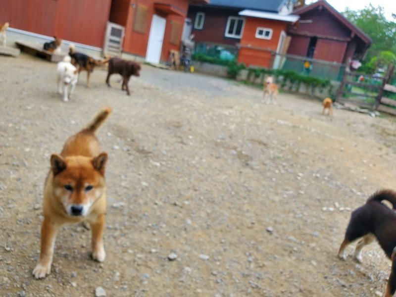 f:id:roukenhome-ann:20191003045556j:plain