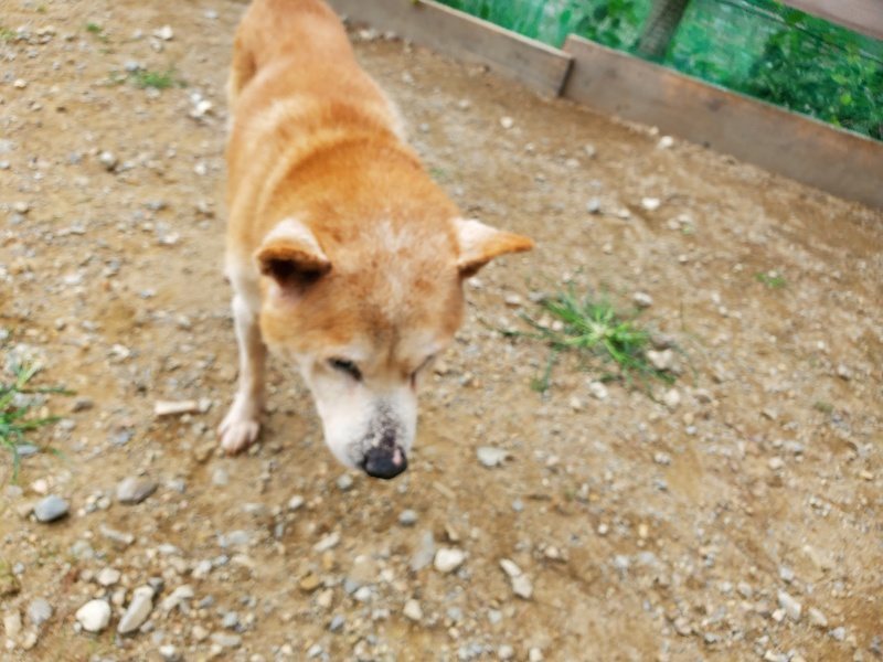 f:id:roukenhome-ann:20191003045600j:plain