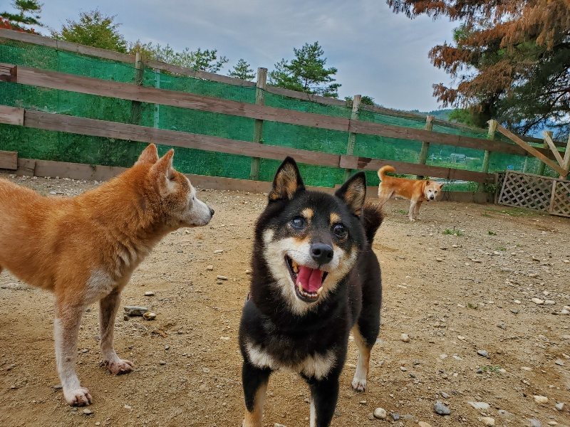 f:id:roukenhome-ann:20191003045615j:plain