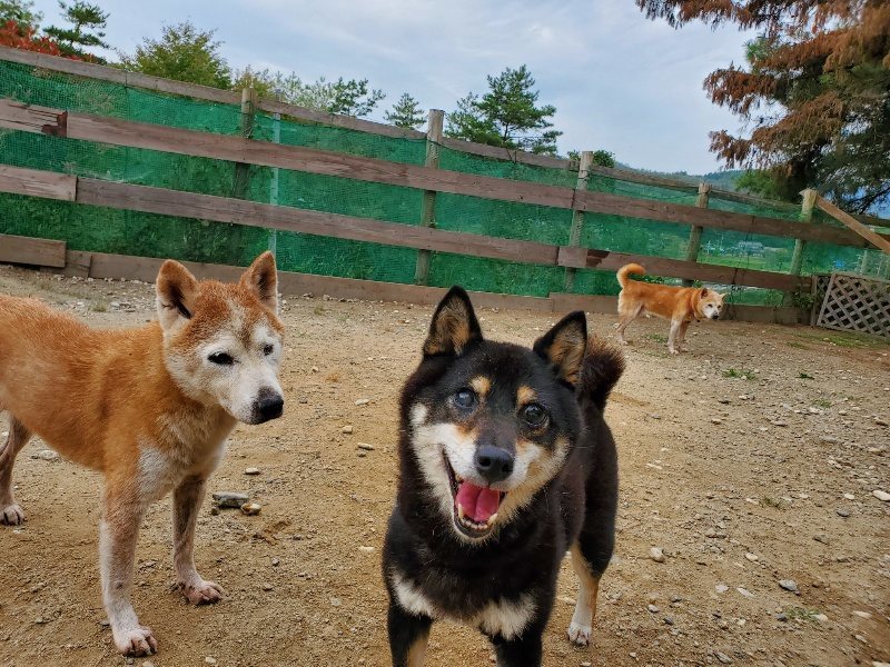 f:id:roukenhome-ann:20191003045621j:plain