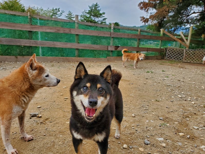 f:id:roukenhome-ann:20191003045626j:plain