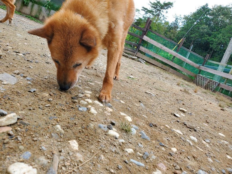 f:id:roukenhome-ann:20191003045642j:plain