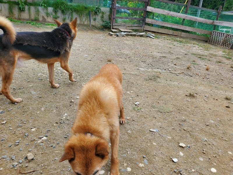 f:id:roukenhome-ann:20191003045652j:plain