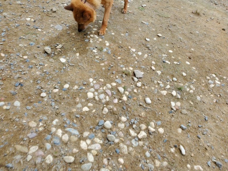 f:id:roukenhome-ann:20191003045709j:plain