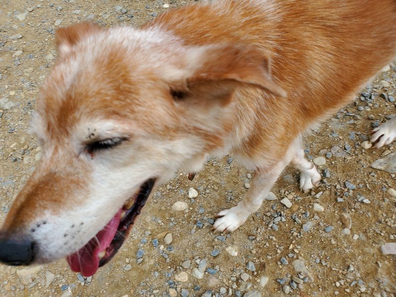 f:id:roukenhome-ann:20191003045721j:plain