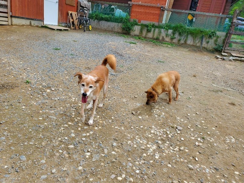 f:id:roukenhome-ann:20191003045738j:plain