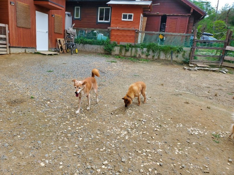 f:id:roukenhome-ann:20191003045750j:plain
