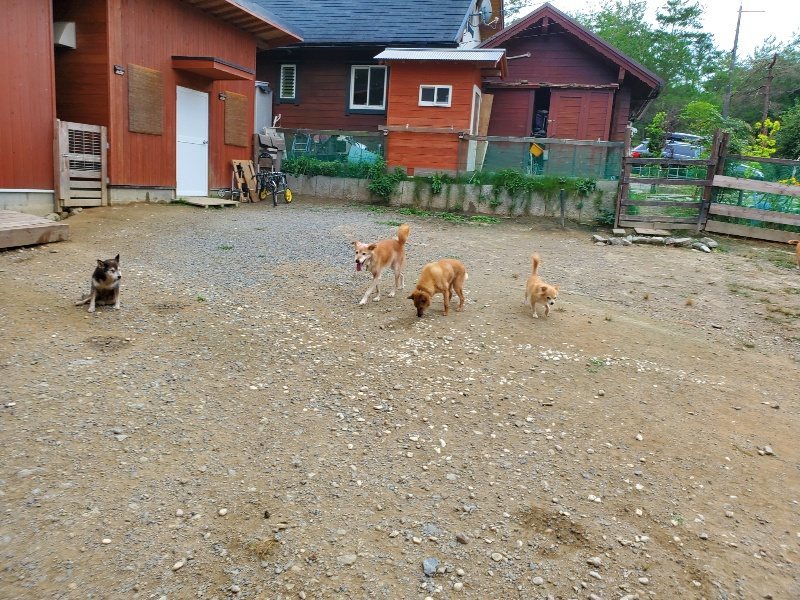 f:id:roukenhome-ann:20191003045757j:plain