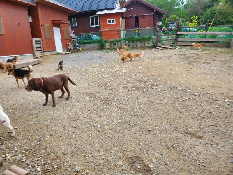 f:id:roukenhome-ann:20191003045807j:plain