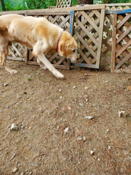 f:id:roukenhome-ann:20191003045851j:plain
