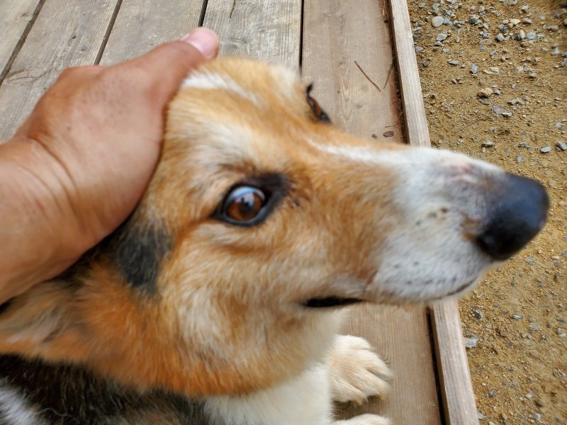 f:id:roukenhome-ann:20191003050013j:plain