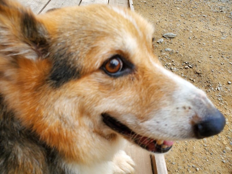 f:id:roukenhome-ann:20191003050022j:plain