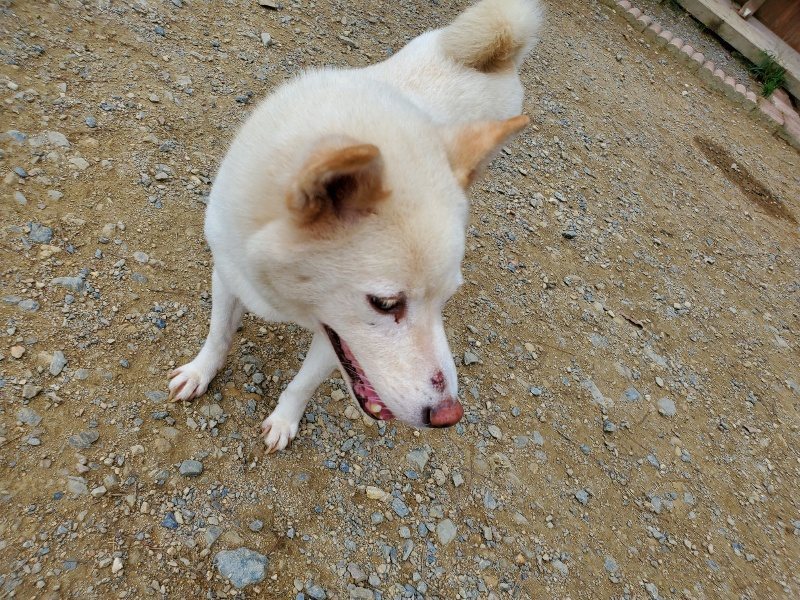 f:id:roukenhome-ann:20191003050157j:plain