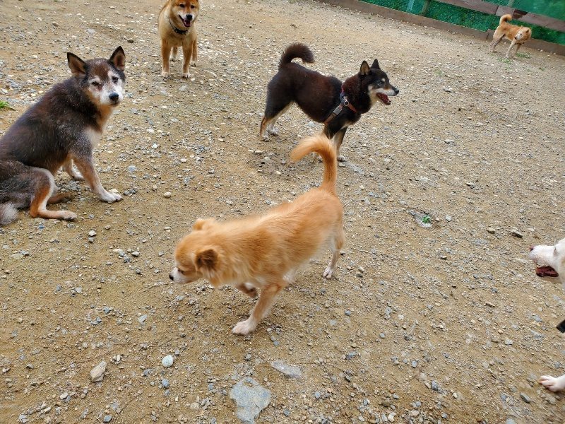 f:id:roukenhome-ann:20191003050201j:plain